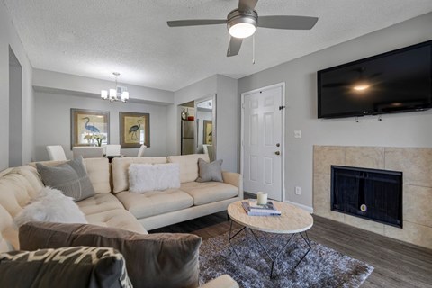 a living room with couches and a tv and a fireplace